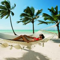 Отзыв от Алёна - виза ДТВ